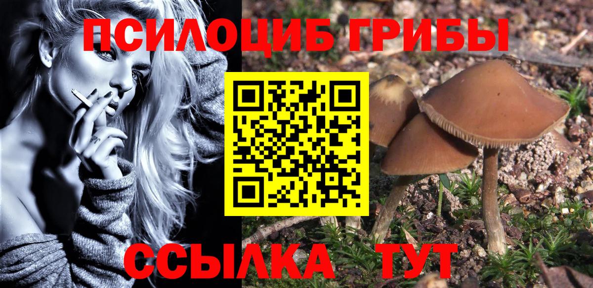 где продают   Вход с VPN  Галлюциногенные грибы Magic Shrooms  Набережные Челны  Псилоцибиновые грибы прущие грибы 